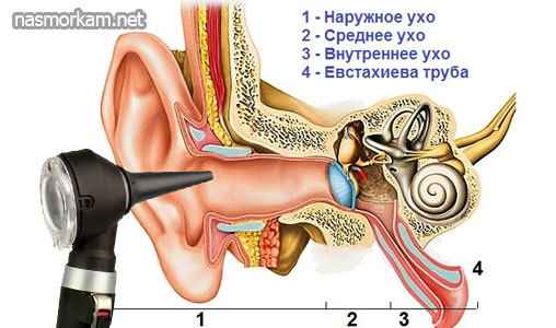 014531aca879318069511ebf9980624a 1 - Методы лечения заложенного уха при простуде, что делать при заложенности уха