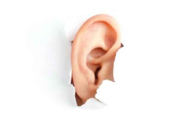 273eaf0200ec33ad0264f47bb4a75c71 1 - Ухо человека и его строение: фото и схемы среднего уха, ушной раковины и других его частей