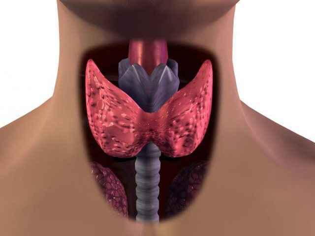 2be610f99cd7dbe5c02f6b491558c1f4 1 - Увеличение щитовидной железы: симптомы, лечение и что делать, если щитовидка увеличилась?