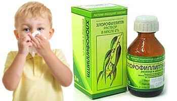 2d63b6e9021c02a0651f28fae49de816 1 - Хлорофиллипт детям и взрослым: масляный раствор хлорофиллипт для носа и использование в горле, отзывы