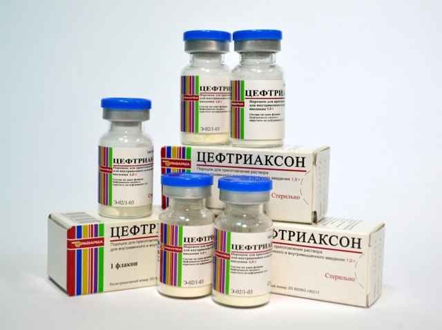 5113ff1b05c100323ff64f2e64523bf2 1 - Пенициллин в таблетках, аналоги пенициллина, заменители пенициллина в ампулах
