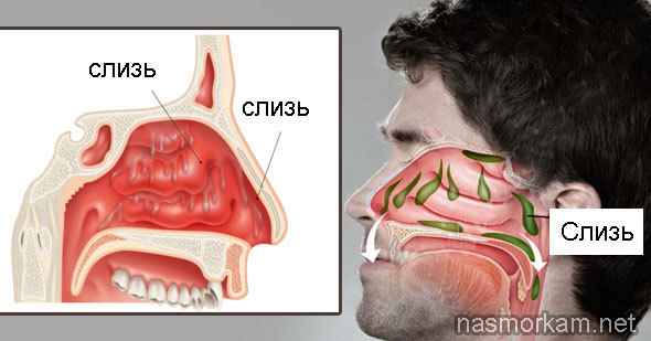 53ac63a31270111e613d8e76ed9b2ac7 1 - Симптомы воспаления слизистой оболочки носа: в чем заключается лечение