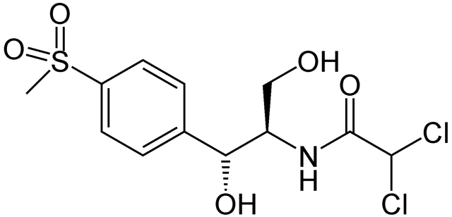 60050e29b16d887a9432fc7080f5c4e4 1 - Тиамфеникол — это антибиотик синтетического происхождения из группы амфениколов