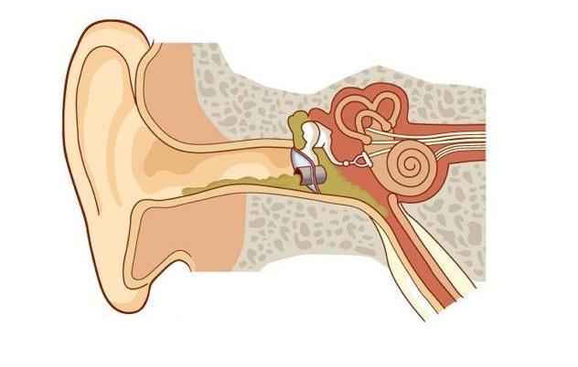 6030426469ab5330efd38adc362efab8 1 - Корочки в ушах, сухие уши и шелушение ушей: причины и методы избавления