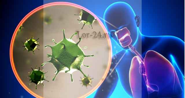 6686b501f647dac97d6a998bd6e57742 1 - Риновирусная инфекция: симптомы и лечение, как лечить риновирусы у детей и взрослых