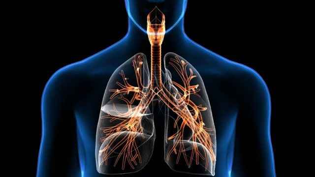 69cb0c7c4ca7beebf77b0e9256a304f9 1 - Спирограмма лёгких: особенности проведения при бронхиальной астме, расшифровка результатов