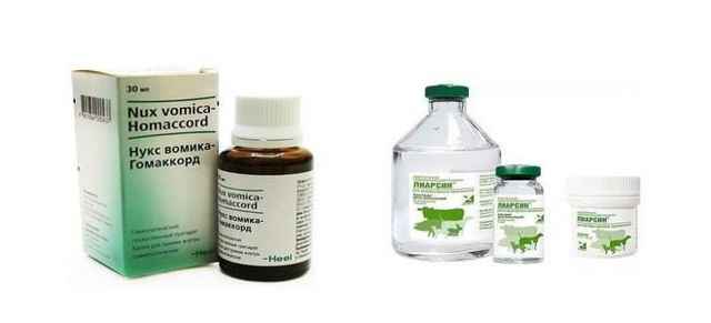 6d8886c843c6d9359e3b1210c872a846 1 - Гомеопатическое лекарственное средство много значит для организма: капли, гранулы и таблетки