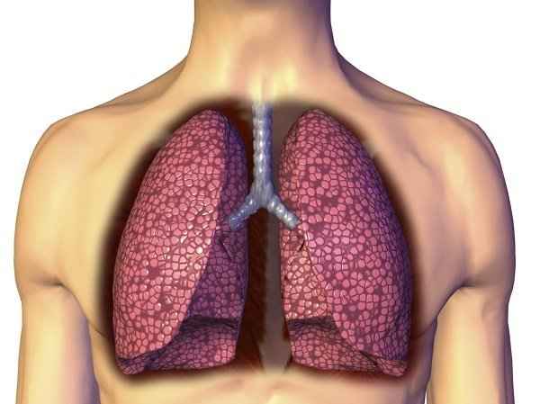 732b60da5436e6fc0a5fcf2962c35dec 1 - Что такое инфильтрация лёгочной ткани: признаки и симптомы инфильтрата в лёгких