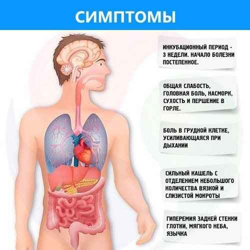 736056484cce1f7cbdbcd90395881eab 1 - Воспаление легких: особенности заболевания, признаки и симптомы пневмонии