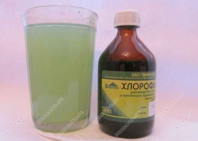 7a5a29118a1550d609bdc2c73d3b7bf9 1 - Инструкция хлорофиллипта спиртовой и масляный раствор для нейтрализации инфекции