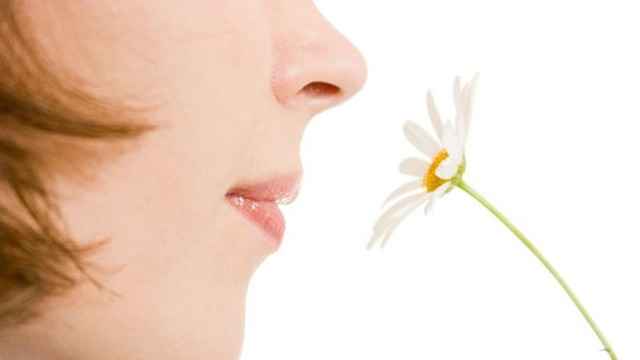 82a45ae79695c1e1490ece3f34620ee0 1 - Как можно вылечить ухо: лечение болезней уха в домашних условиях