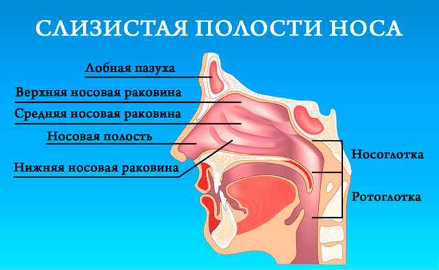8faaf93a1fcf5c581da5d65041ae9b22 1 - Сушит в горле: причины возникновения сухости в горле и носоглотке, лечение инфекции