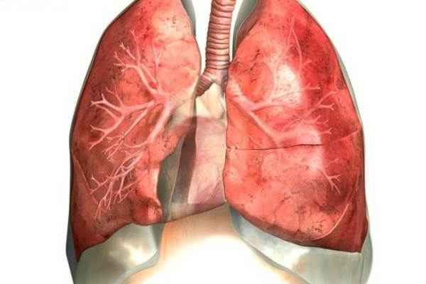 a8244a8e42f8847bf96bf98fe7878e01 1 - Правосторонняя пневмония: причины воспаления легких справа, лечение верхнедолевой и нижнедолевой пневмонии
