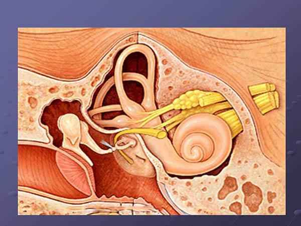 a94c70c7506363e95ec1cf4ce824df5b 1 - Заложенность уха при насморке: причины, лечение, профилактика