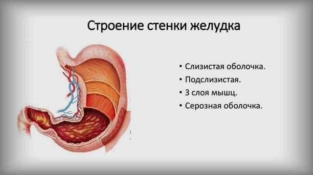 aefbaa9c69950c4c2ba776dd4314c038 1 - Риновирусная инфекция: симптомы и лечение, как лечить риновирусы у детей и взрослых
