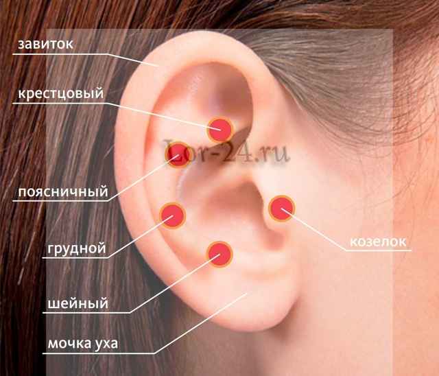 b54d41c5e5138aa94fd37f1bfe0e25f6 1 - Воспаление внутреннего уха: основные причины и симптомы воспалительного процесса, диагностика и методы лечения
