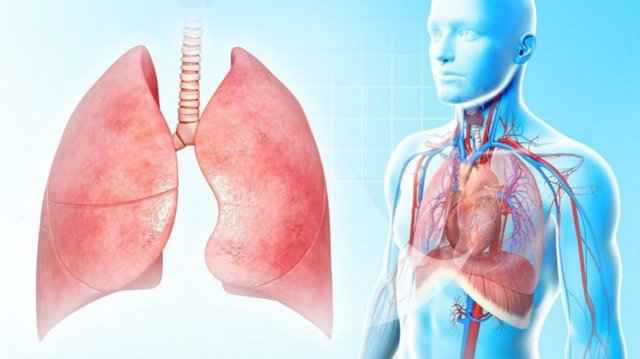 c644ff642db0de0d474e62c48702d185 1 - Жёсткое дыхание: что это такое, причины жёсткого дыхания в лёгких у взрослого, способы лечения