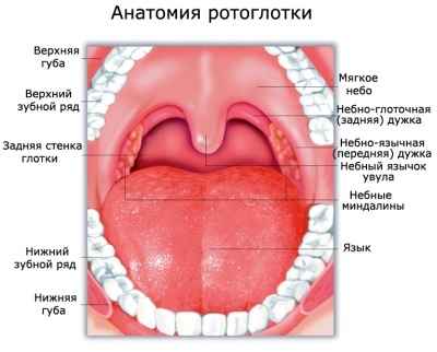 cbaccb493248fb9751427482f0cec34a 1 - Красное горло у ребенка: как определить болезнь и чем ее лечить
