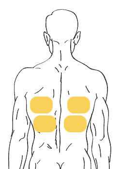 d56e240d7fb37f44bf7b0e03e4fbe47a 1 - Сколько нужно держать горчичники при кашле на грудной клетке и на спине