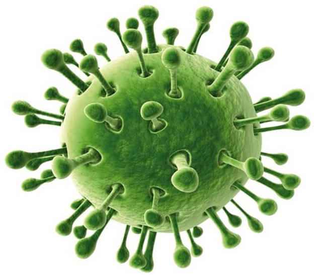 d9fcf3e7ea780c3886ee6a1bb5557743 1 - Ротавирусная инфекция: симптомы, признаки и лечение, чем лечить ротавирус у ребёнка и взрослого