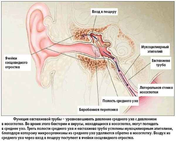 dc56a353e4823841c252e1f542779468 1 - Продувание слуховых труб по политцеру: что это такое, как проводится продувание ушей в стационаре и дома
