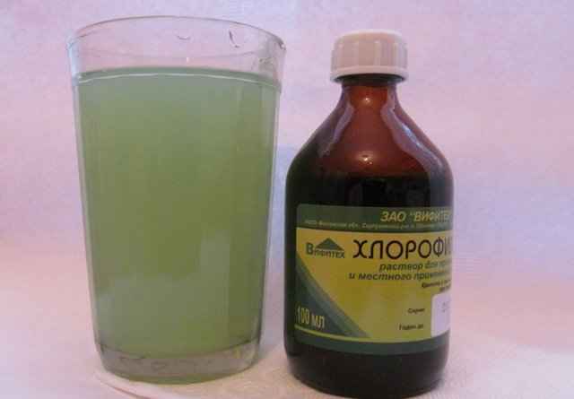 f2aada66151a92e136b5627cd9660005 1 - Как полоскать горло хлорофиллиптом: как разводить спиртовой раствор, нюансы его действия и применения