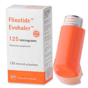 f54d911789ccedb8654aeae6374d7a5b 1 - Особенности применения ингалятора: виды, выбор аэрозоля от астмы, популярные препараты для астматиков