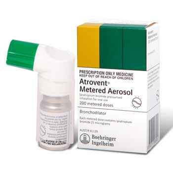 f84aafc67c508fce285b9f4a9b009142 1 - Особенности применения ингалятора: виды, выбор аэрозоля от астмы, популярные препараты для астматиков
