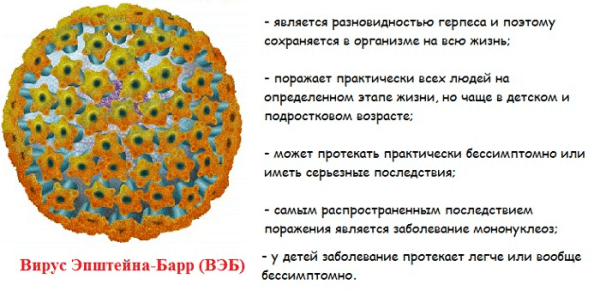 bullezniyotitsimptomiilechenieuvzroslixs B0F26179 - Методы лечения буллезного отита