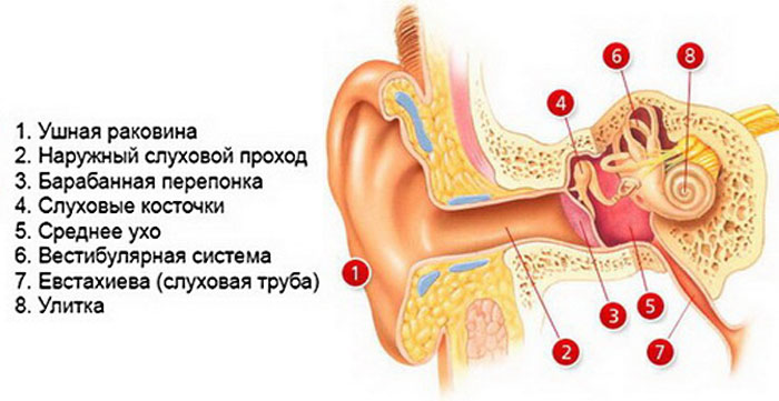 ekssudativniyotitsimptomiformitecheniele EE31AD3D - Экссудативный отит среднего уха (двухсторонний, левосторонний и правосторонний)