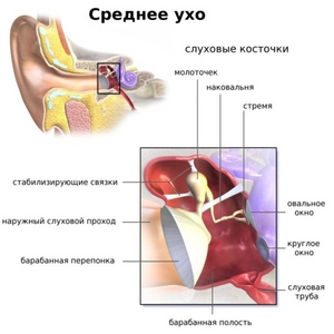 evstaxiitsimptomiilechenieudeteyivzrosli 8259E3C9 - Симптомы и лечение евстахиита