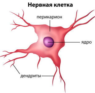 golovnayabolpriotitemozhetliboletgolova B6A8C622 - Головная боль при отите: причины и лечение