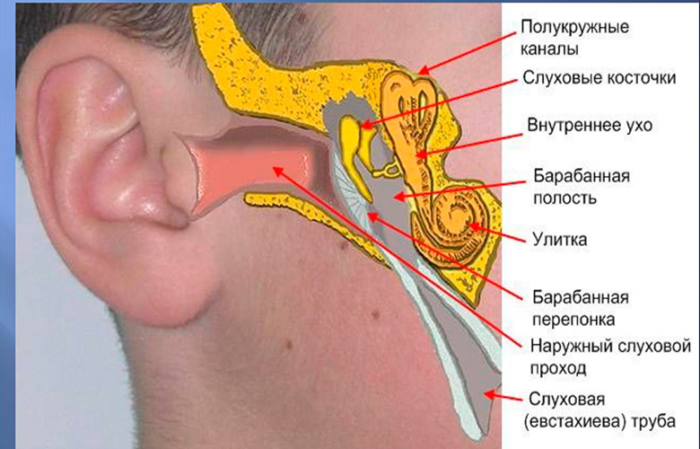 kakvosstanovitsluxposleotita C4FBF2F1 - Как восстановить слух после отита: официальная медицина, упражнения для слуха, массаж