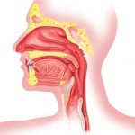 komvgorleprifaringitelechenieoshusheniya 48E33DA0 - Ком в горле при фарингите: лечение ощущения комка