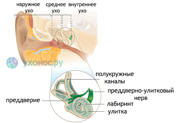 labirintitvnutrenniyotitsimptomiilecheni 8F02ABCD - Внутренний отит уха: симптомы, лечение