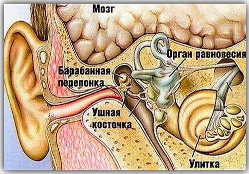 lechenieotitauvzroslixvdomashnixusloviya 45F86B62 - Как лечить воспаление уха в домашних условиях: народные методы и медикаментозные препараты при отите