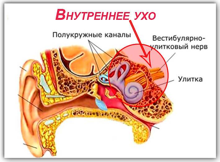 lechenieotitauvzroslixvdomashnixusloviya FA8E0B73 - Лечение отита в домашних условиях – 5 эффективных средств