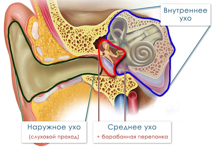 lechenieotitavdomashnixusloviyaxuvzrosli 46820DEC - Лечение отита в домашних условиях – 5 эффективных средств