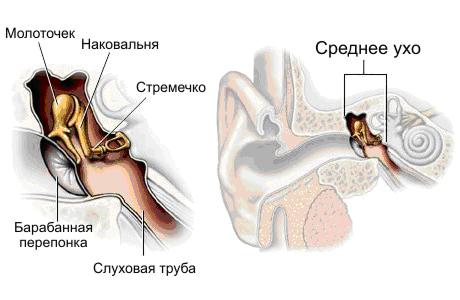 mozhnolipromivatnospriotitechempromivatn 0424ADDD - Что делать, если при промывании носа вода попала в ухо?