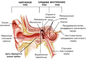 nevritsluxovogonervaprichinisimptomilech E202D29F - Неврит слухового нерва: симптомы и лечение воспаления