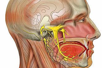 nevritsluxovogonervasimptomiilechenievos C342FD7A - Неврит слухового нерва: симптомы и лечение воспаления