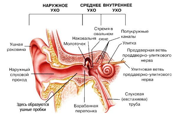 ostriysredniyotituxastadiividisimptomile 4FA1BF3A - Отит среднего уха: симптомы и лечение, фото