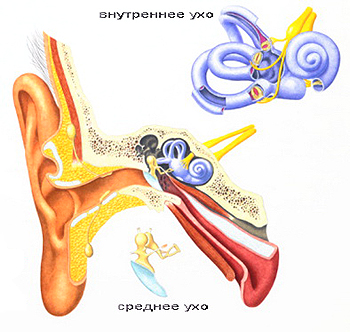 otitprichinisimptomidiagnostikailechenie 8166C423 - Внутренний отит уха: симптомы, лечение