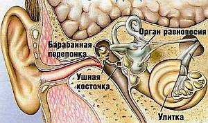 otituvzroslixlecheniesimptomiprichiniazb 29BEDA36 - Болит ухо после орви: что делать
