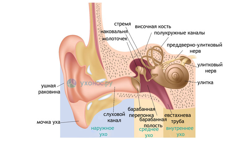 otitvnutrenniyfoto FA231D16 - Отит среднего уха: симптомы и лечение, фото