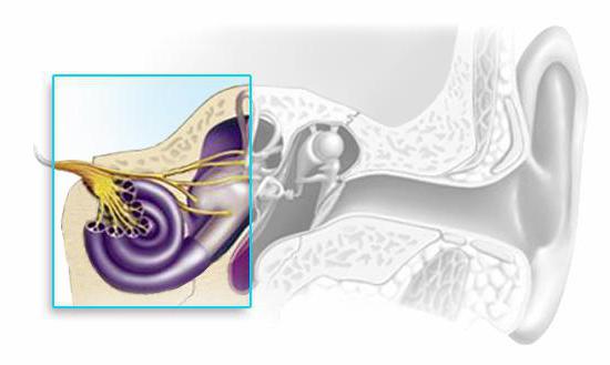 sensonevralnayatugouxoststepenilechenie FD330F68 - Боль в ушах: почему возникает и как лечить