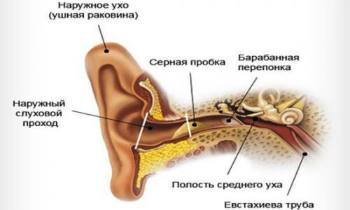 sernieprobkivushaxkakudalitsamostoyateln C8EFEB8B - Что такое серная пробка в ухе и как ее удалить?