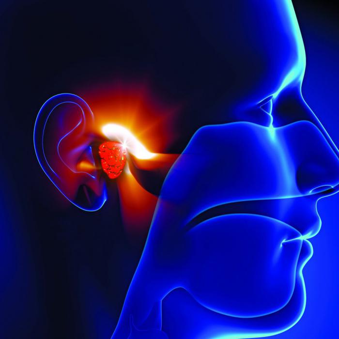 tugouxost2stepenilechenie 6F119A55 - Лечение тугоухости – что делать для улучшения и восстановления слуха