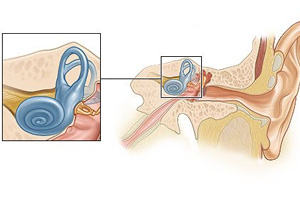 vnutrenniyotitsimptomiilechenielabirinti 377EFB51 - Постоянные болячки в носу: причины, чем мазать, когда образовывается сухость и как вылечивать заболевание