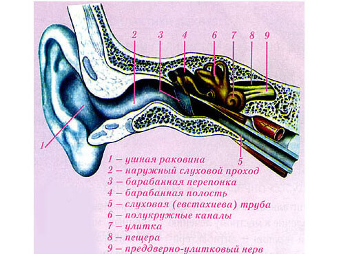 vnutrenniyotitsimptomiostrogoixronichesk C562EAC4 - Внутренний отит уха: симптомы, лечение